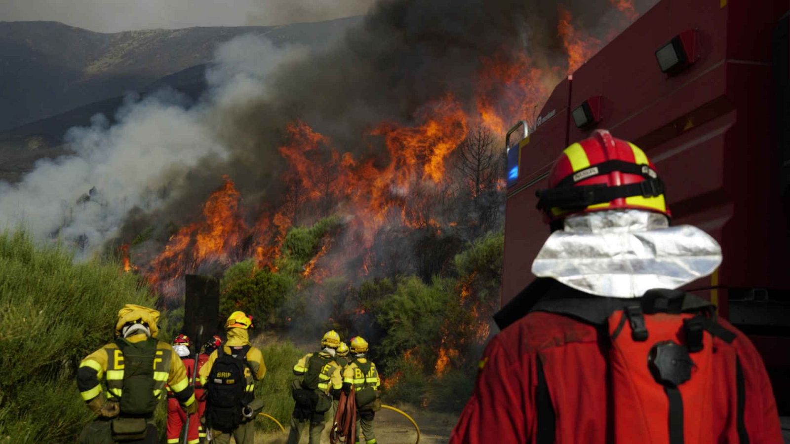 Telediario - 8 horas - 19/08/25 - Telediario Matinal | Ver
