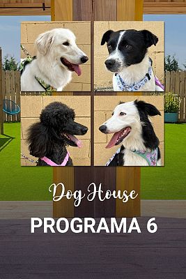Programa 6