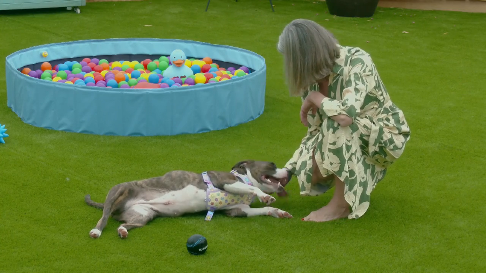 Sandra conoce a Light en 'Dog House' con Chenoa - Dog House | Ver