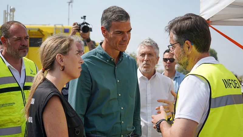 Zonas devastadas por los incendios, declaradas "afectada por una Emergencia de Protección Civil" - Especiales informativos | Ver