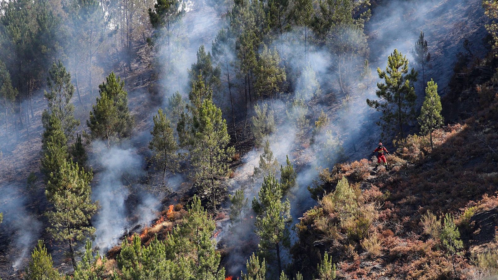 Telediario 1 en cuatro minutos - 19/08/25- RTVE.es | Ver