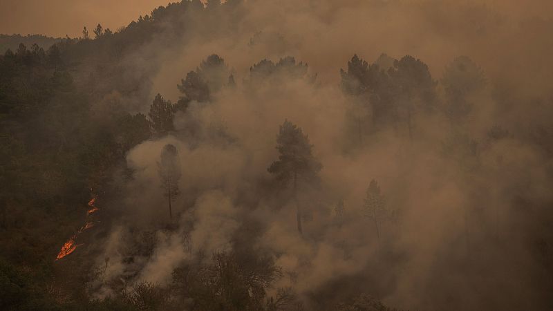 Las llamas avanzan descontroladas en Larouco - Telediario 1 | Ver