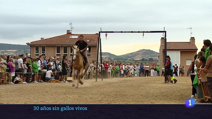 Informativo Telerioja - Informativo Telerioja 2 - 19-08-2025