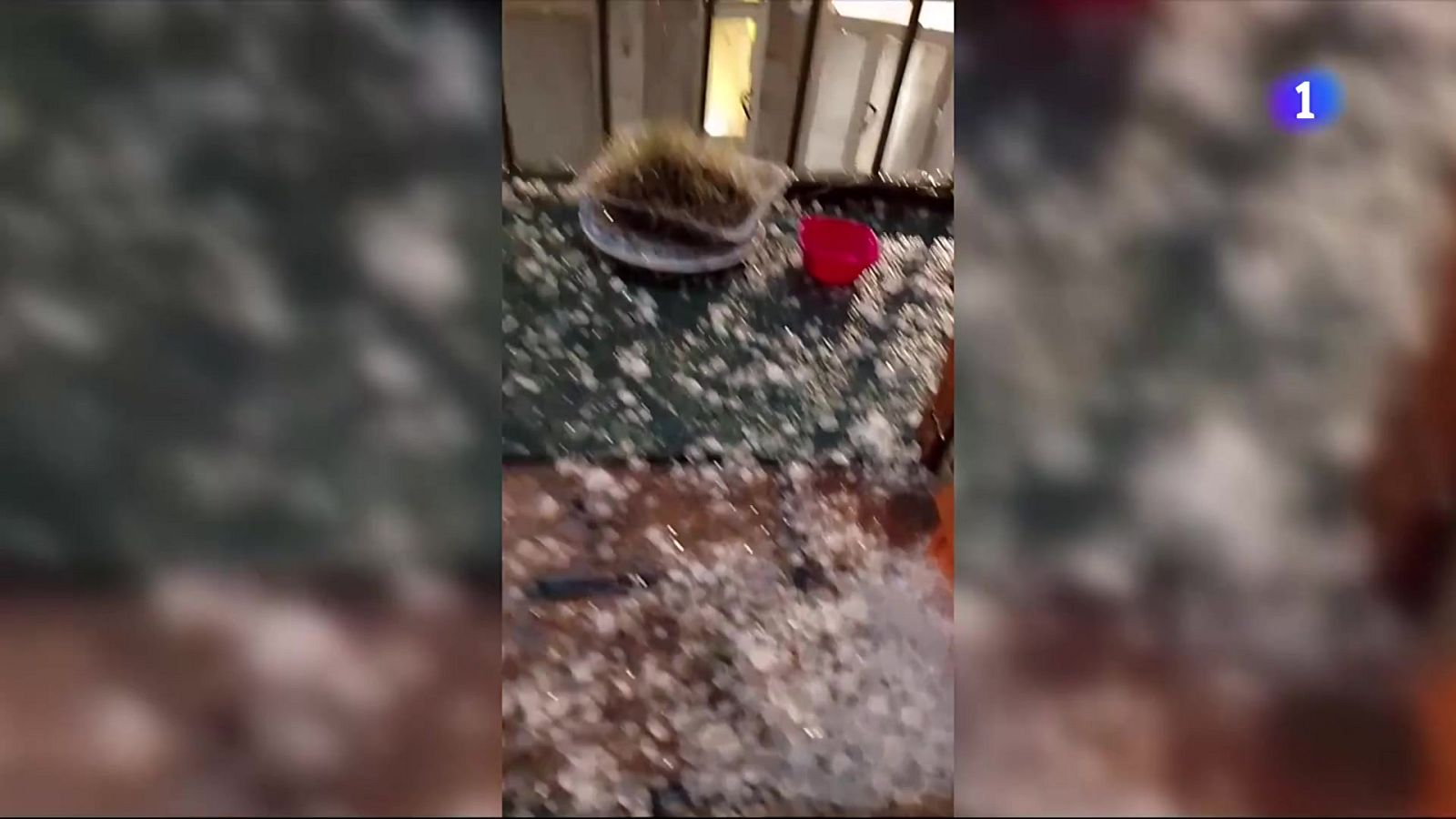 L'Informatiu 2 - 19/08/2025