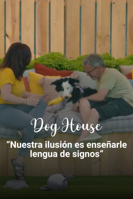 Dog House - Otto y Alexandra: lenguaje de signos y el deseo de salvar a un perrito