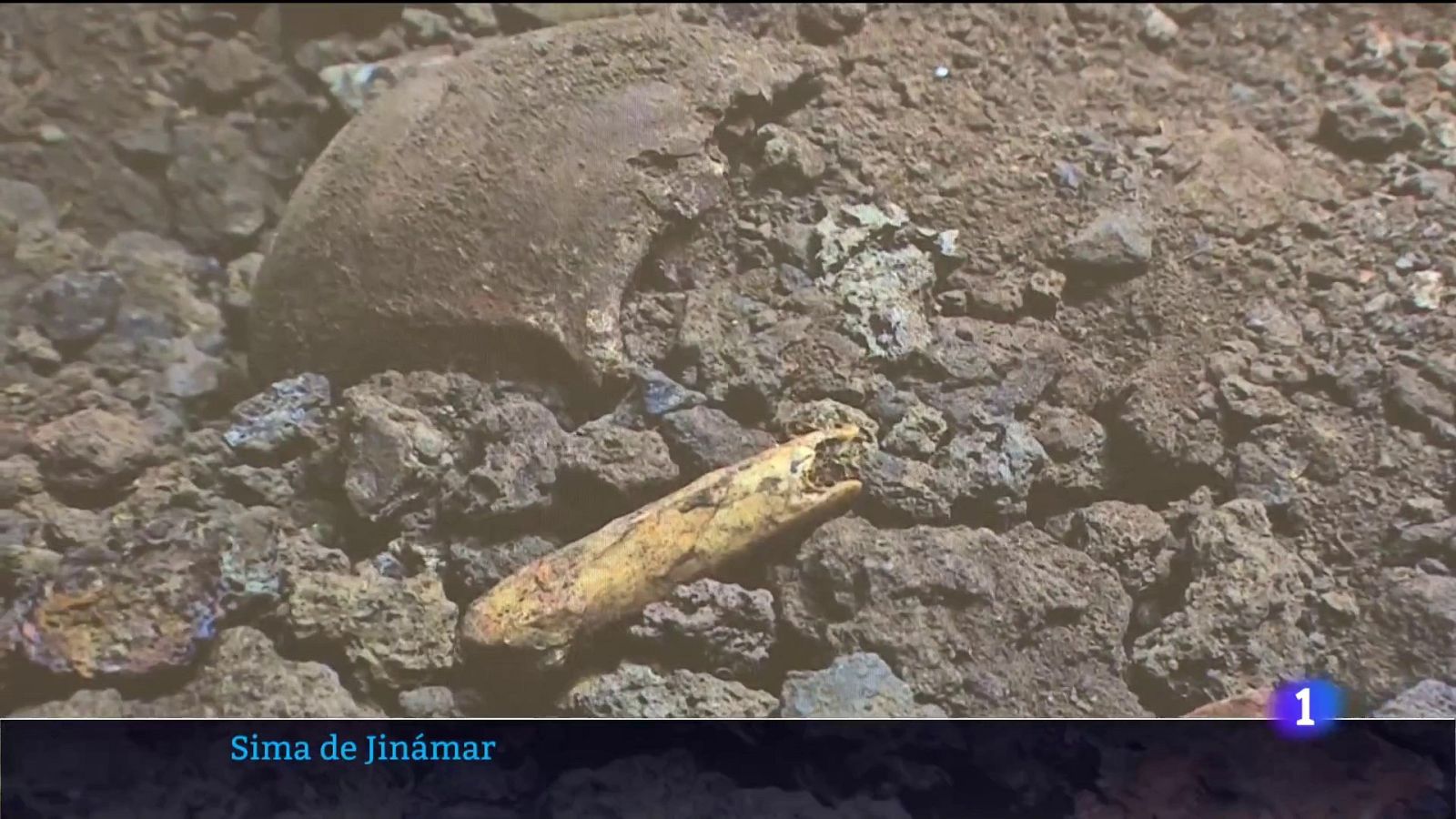 Localizados varios cuerpos en la Sima de Jinámar (Gran Canaria) | Ver ahora