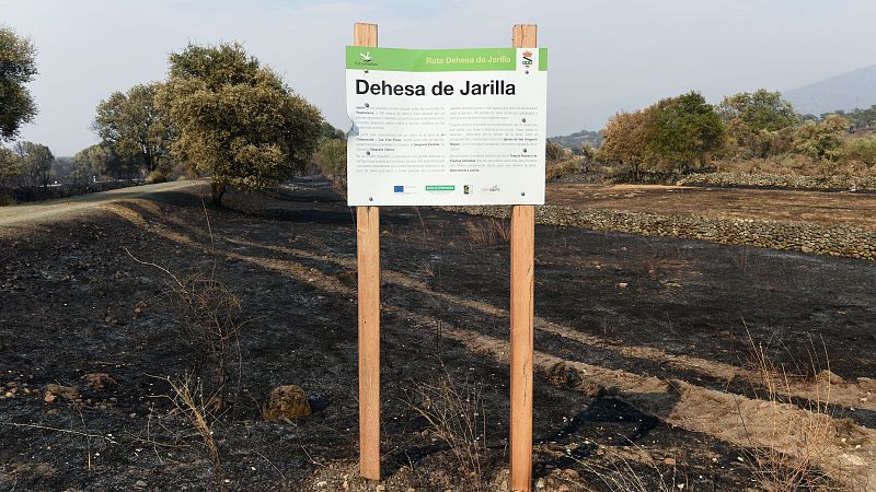 La alcaldesa de Jerte preocupada por el avance del fuego hacia las fincas de cerezas - La tarde en 24h | Ver