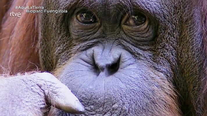 Aquí la Tierra - Aquí la Tierra - 19/08/25