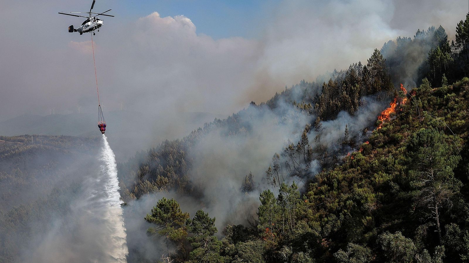 Portugal mantiene el pulso contra los incendios con 200.000 hectáreas calcinadas | Ver