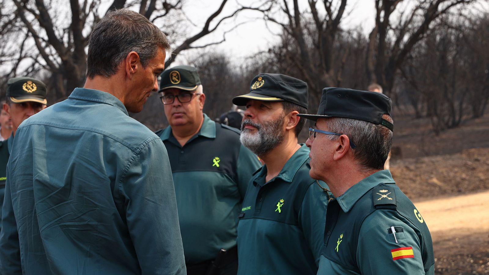 El Gobierno declarará zona catastrófica las zonas afectadas por los incendios