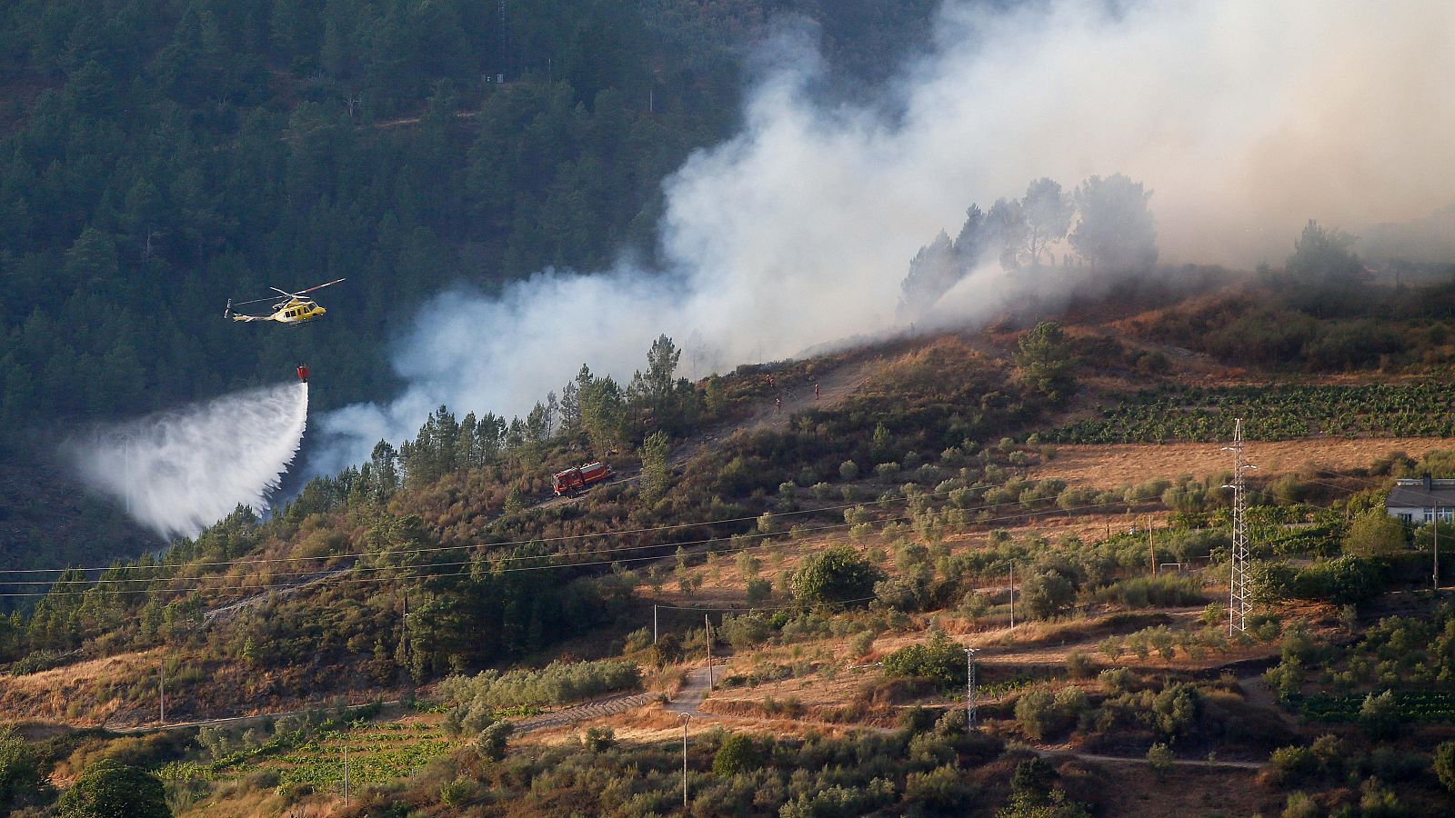 Diario 24 - 20/08/25 - Diario 24 | Ver