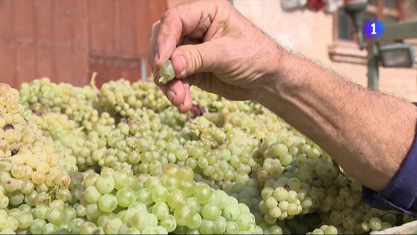 L'Informatiu - 20/08/2025