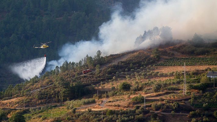 Informativo 24h - Informativo 24 horas - 14h - 20/08/25