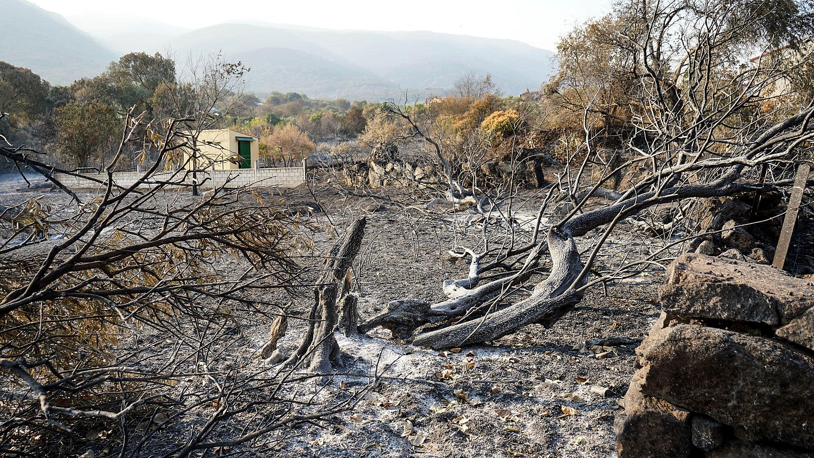 Telediario - 15 horas - 20/08/25 - Telediario 1 | Ver