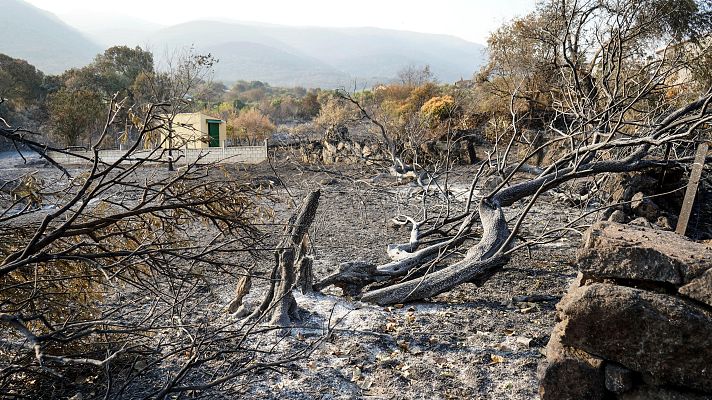 Telediario 1 - Telediario - 15 horas - 20/08/25