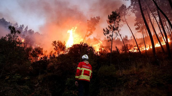 Telediario 1 - Controlan dos de los cuatro grandes incendios de Portugal, que suman una tercera víctima mortal