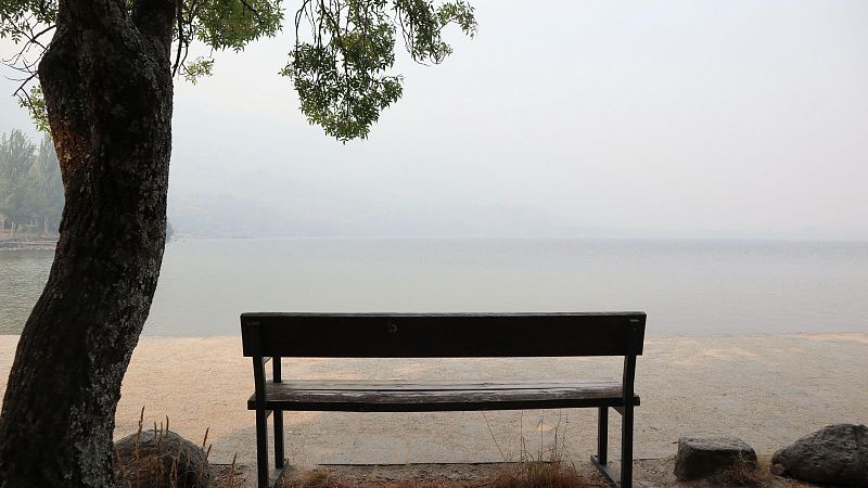 Desalojados por los incendios en Zamora - Telediario 1 | Ver