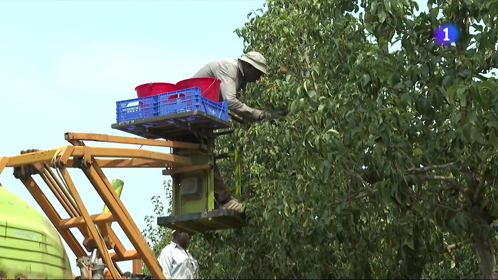 Aigua amb sodi i potassi, la solució contra la deshidratació dels temporers