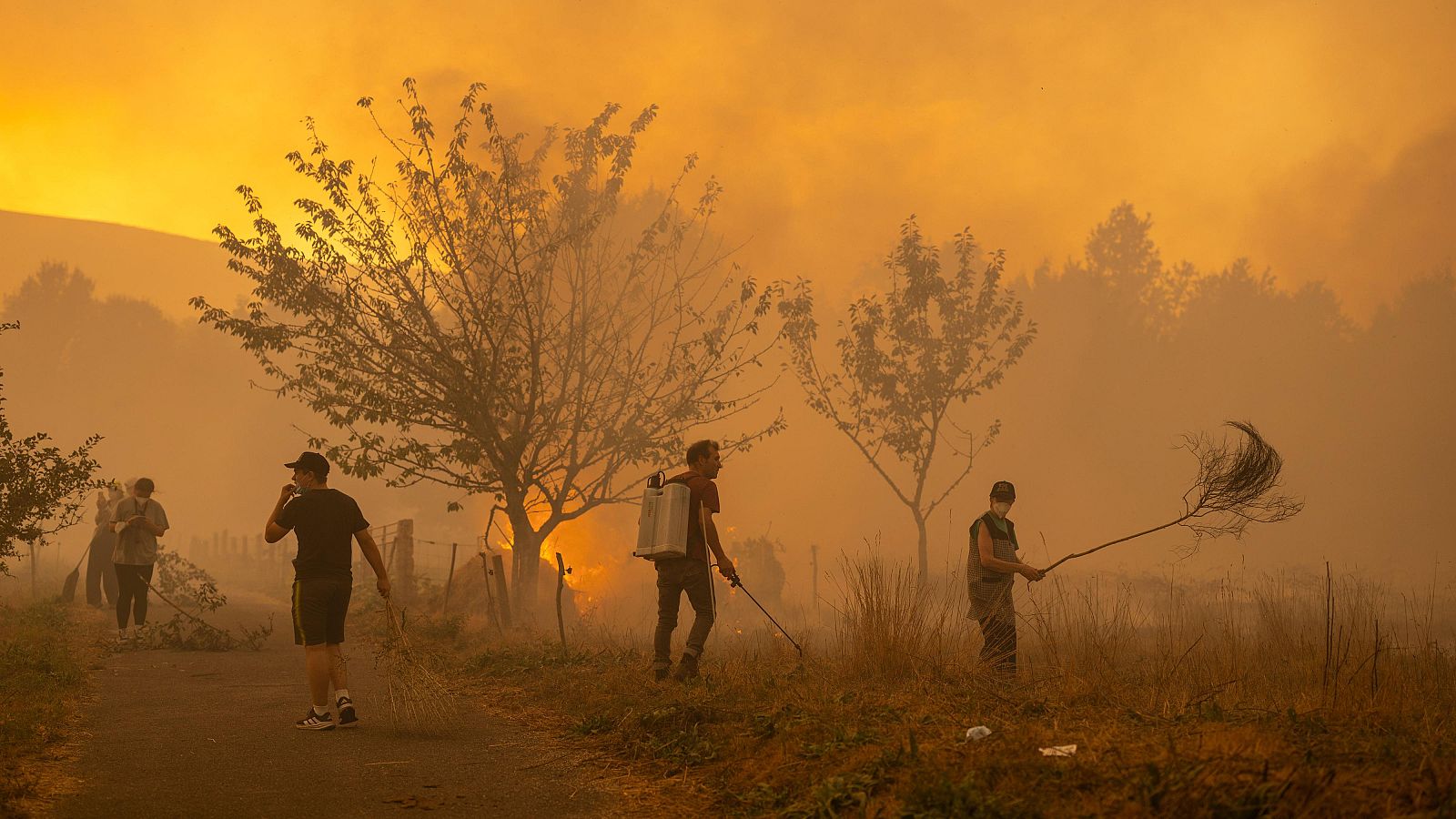 Los incendios dejan un paisaje desolador en Galicia - Telediario 2 | Ver