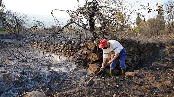 Telediario 2 - La Garganta, pendiente de una posible evacuación por el avance del incendio de Jarrilla