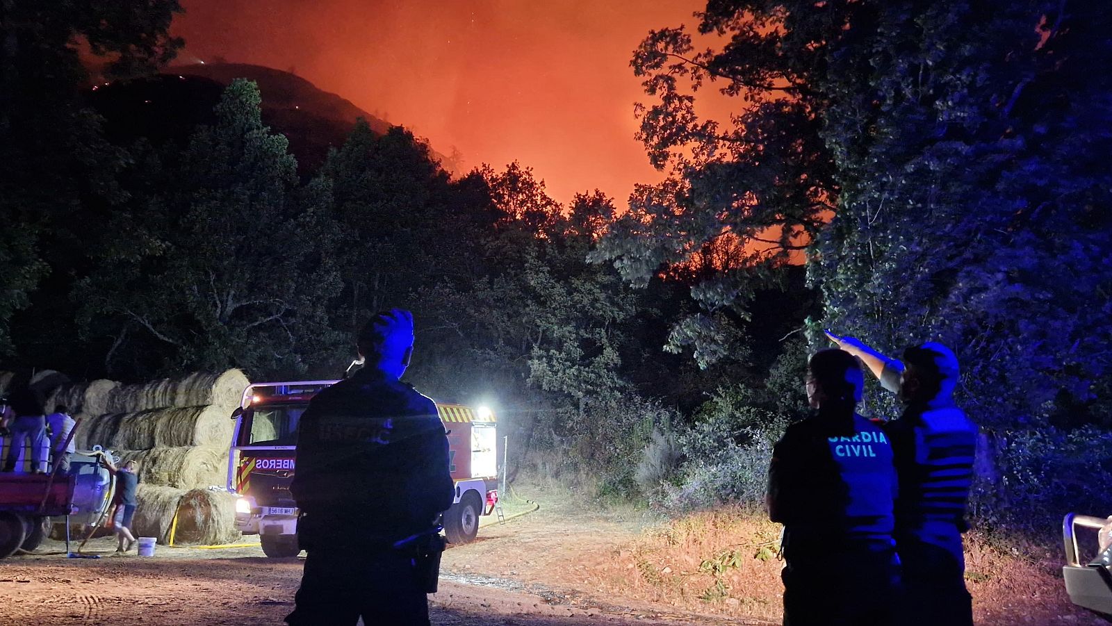Un ingeniero forestal sobre los incendios: “El 80% de los municipios en 2018 incumplía con la ley de montes respecto a tener planes de prevención de incendios” - La hora de La 1 | Ver