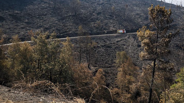 Telediario 1 - El sector turístico se resiente en las zonas afectadas por los incendios