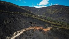 La Fiscalía investiga la falta de planes de prevención como causante de la ola de incendios