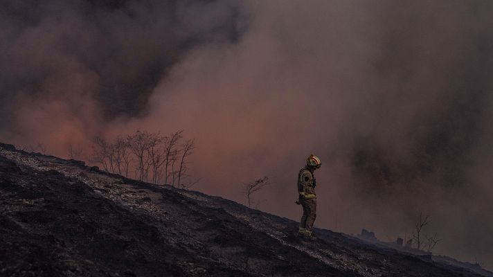 Telediario 2 - Falta de recursos para asumir planes de prevención contra incendios