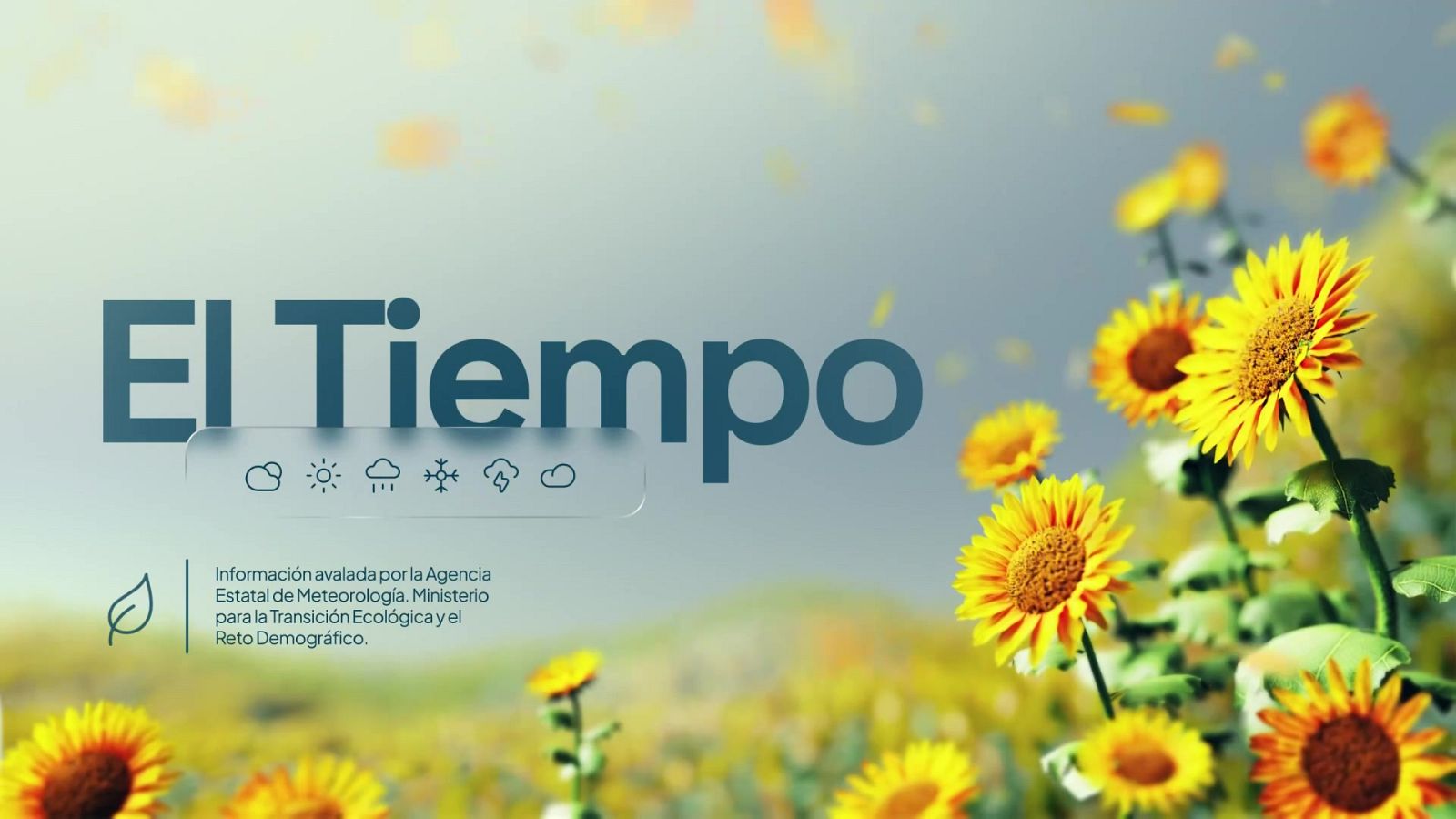 El tiempo en Andalucía - 22/08/2025 - Noticias Andalucía | Ver