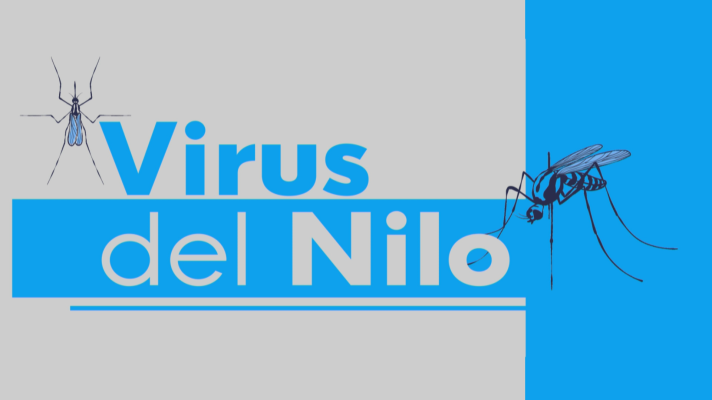 Noticias Andalucía - VIRUS DEL NILO