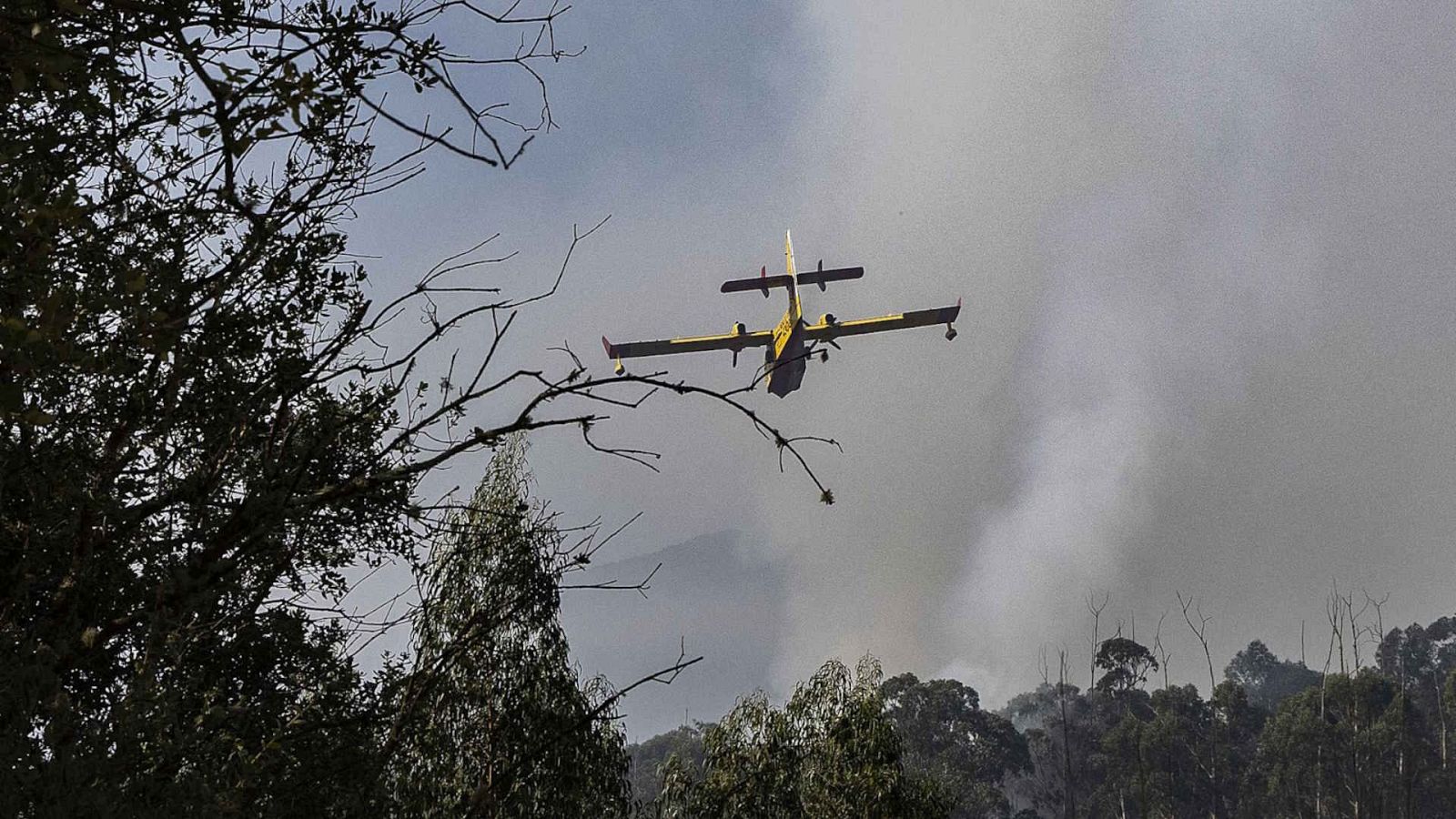 Informativo 24 horas - 14h - 22/08/25 - Informativo 24h | Ver