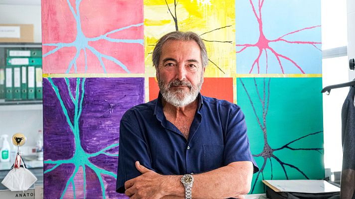 Telediario 1 - Detectan casos de inmadurez cerebral en niños gestados con COVID-19