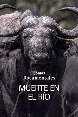 Somos Documentales - Muerte en el río