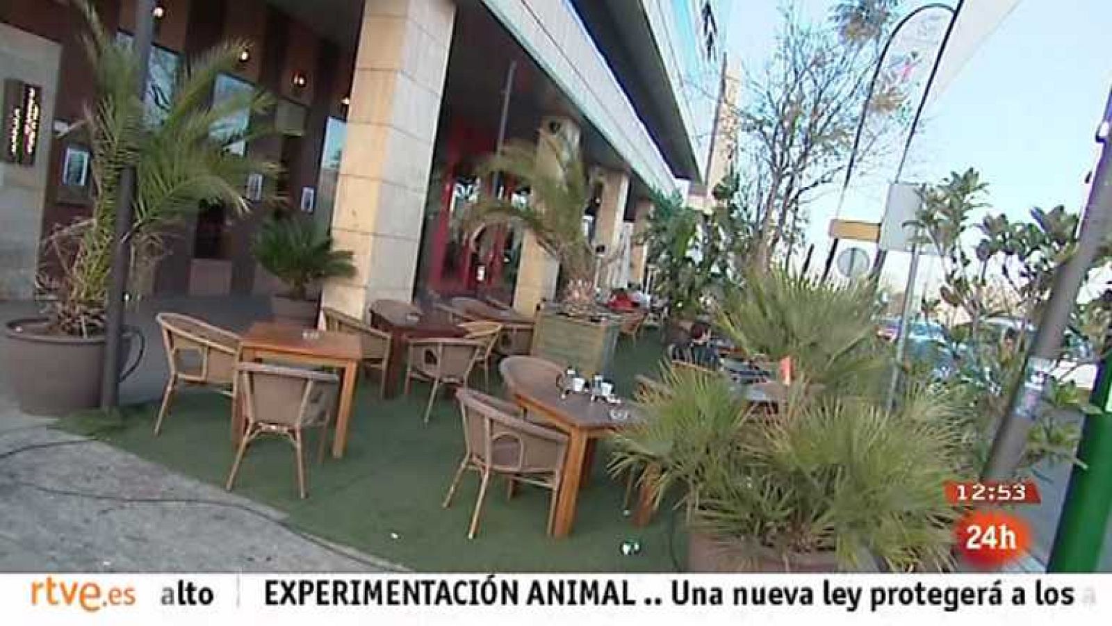 Zoom Tendencias - Córdoba, con la tradición por delante - 19/01/13 - Ver ahora