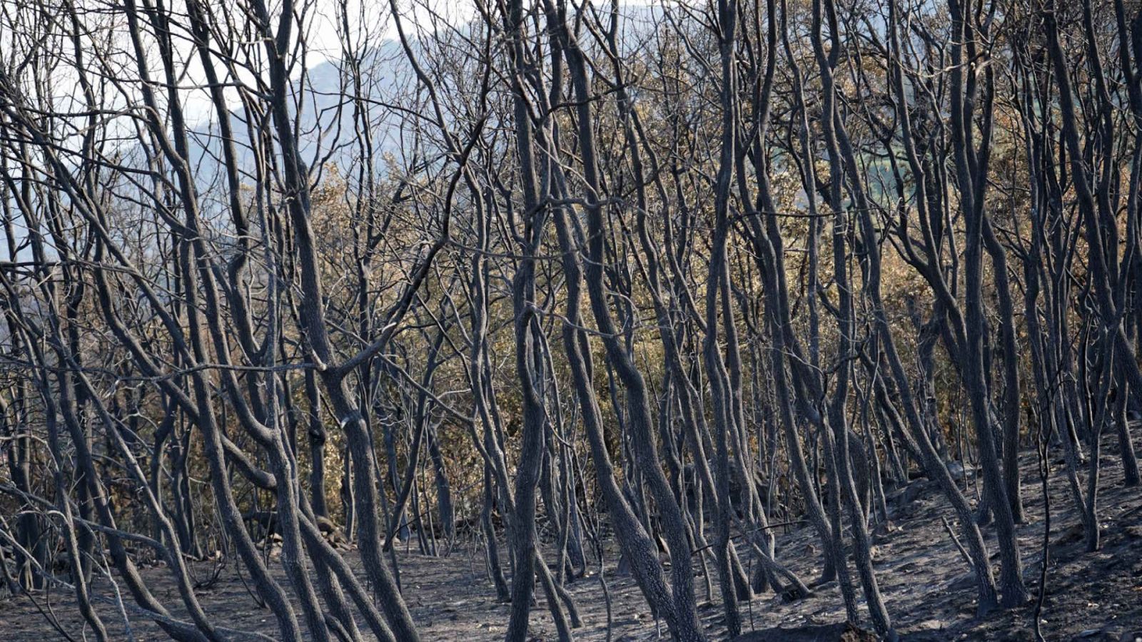 Informativo 24 horas - 14h - 23/08/25 - Fin de semana 24h | Ver