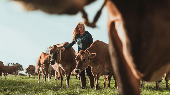 Telediario Fin de Semana - Los efectos de los incendios golpea a los ganaderos más jóvenes