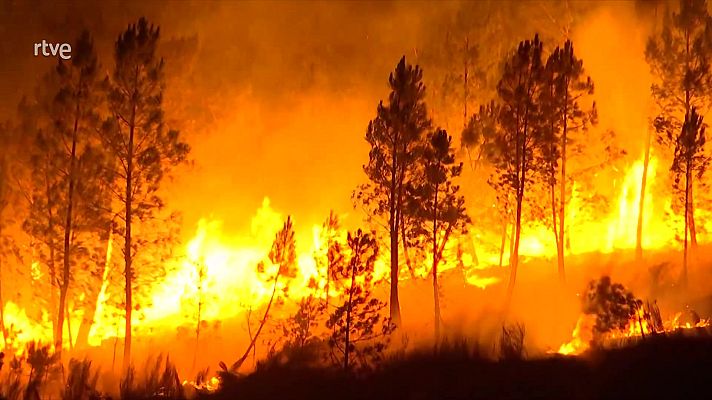 Informe Semanal - Informe semanal - 23/08/25