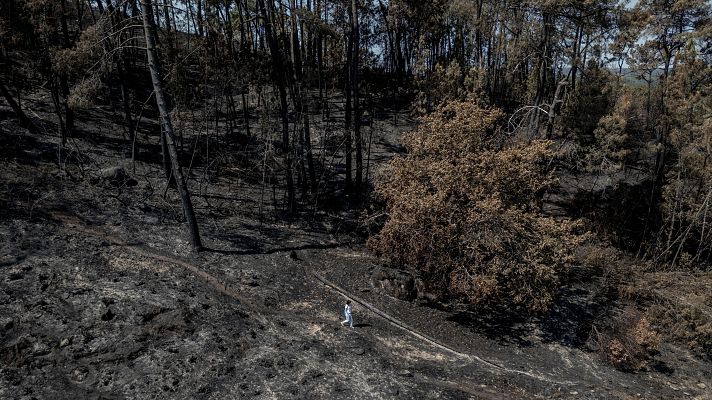 Solastalgia: tristeza por perder el entorno | Ver