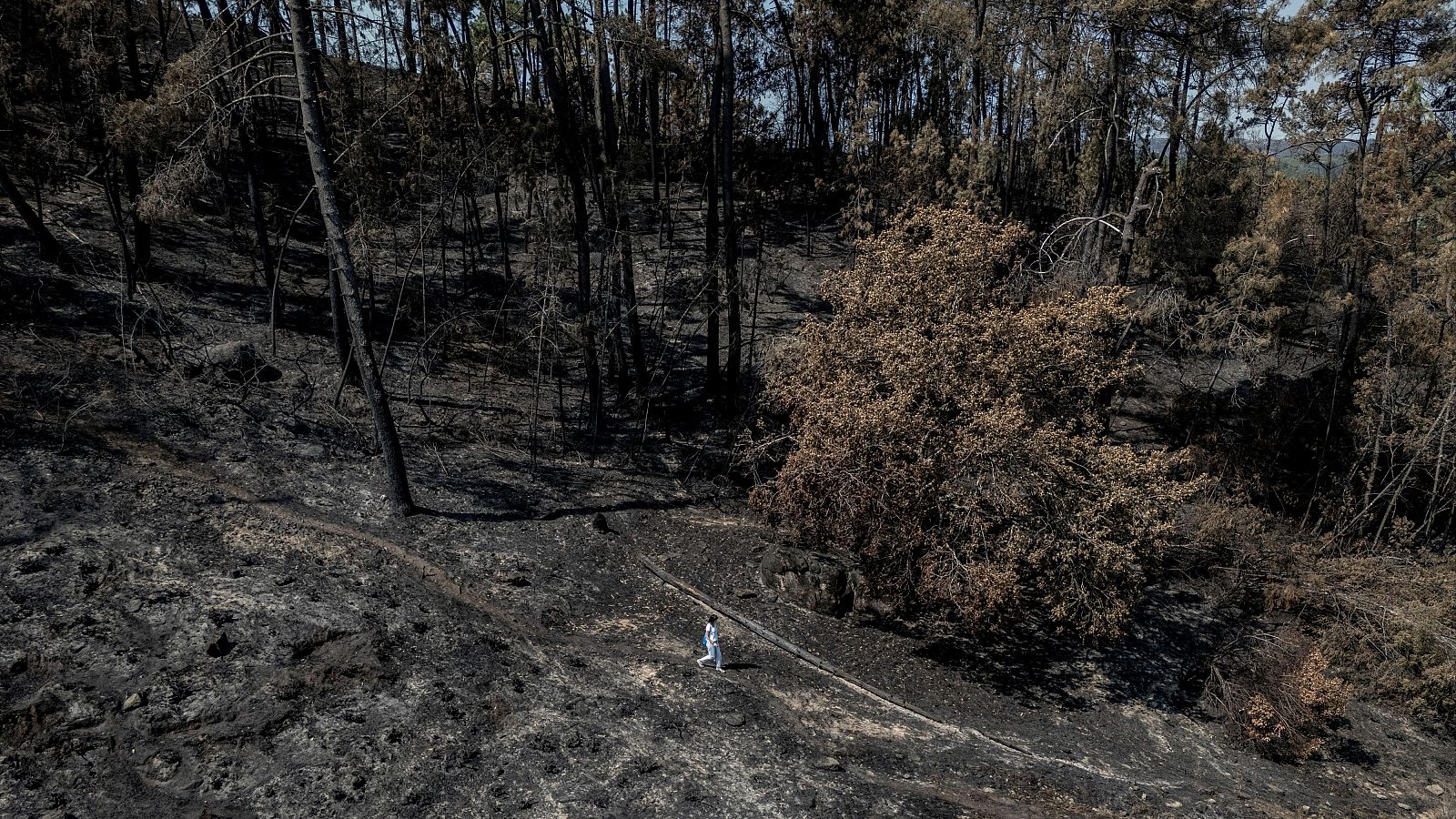 Solastalgia: tristeza por perder el entorno | Ver