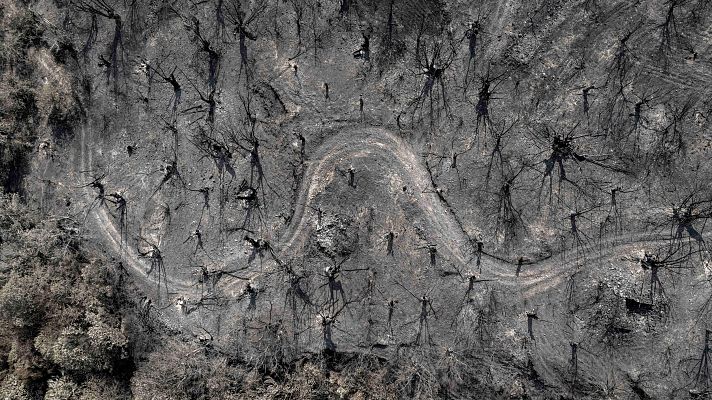 Los vecinos de Roblido salvaron su aldea de los incendios | Ver