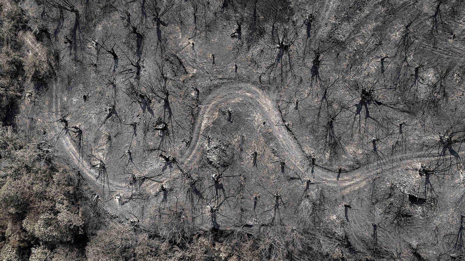 Los vecinos de Roblido salvaron su aldea de los incendios | Ver