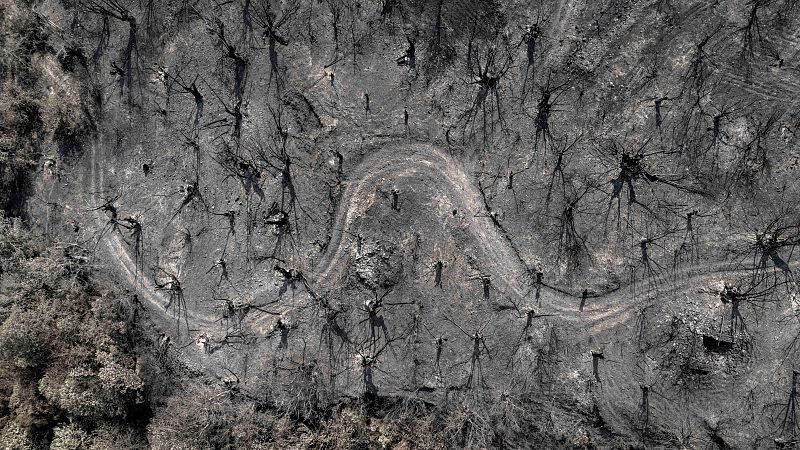 Los vecinos de Roblido salvaron su aldea de los incendios | Ver