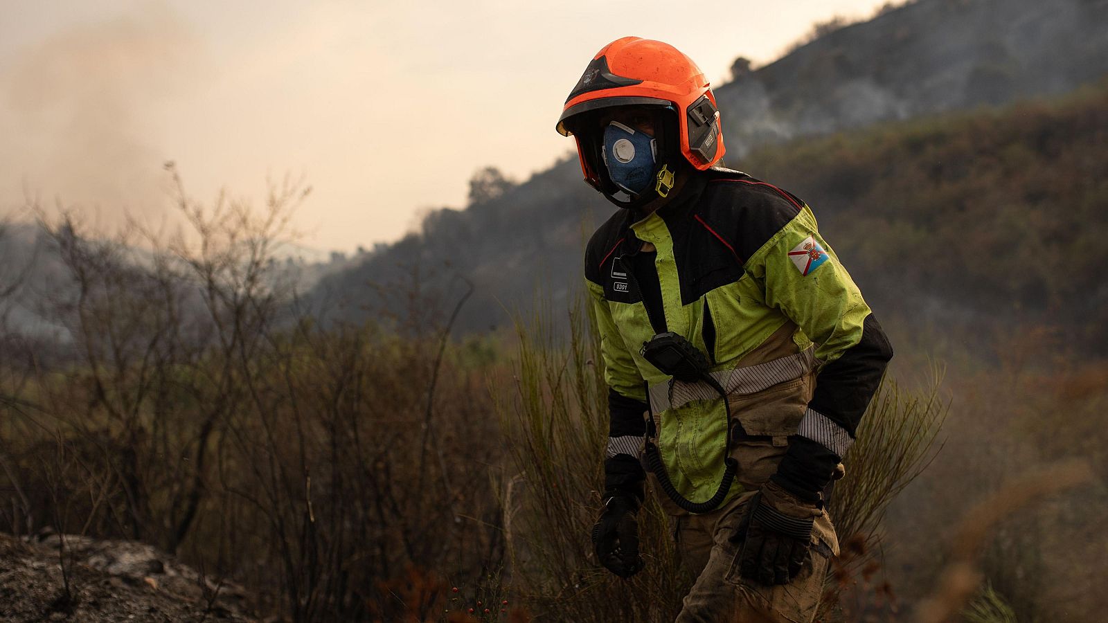 Telediario - 8 horas - 25/08/25 - Telediario Matinal | Ver