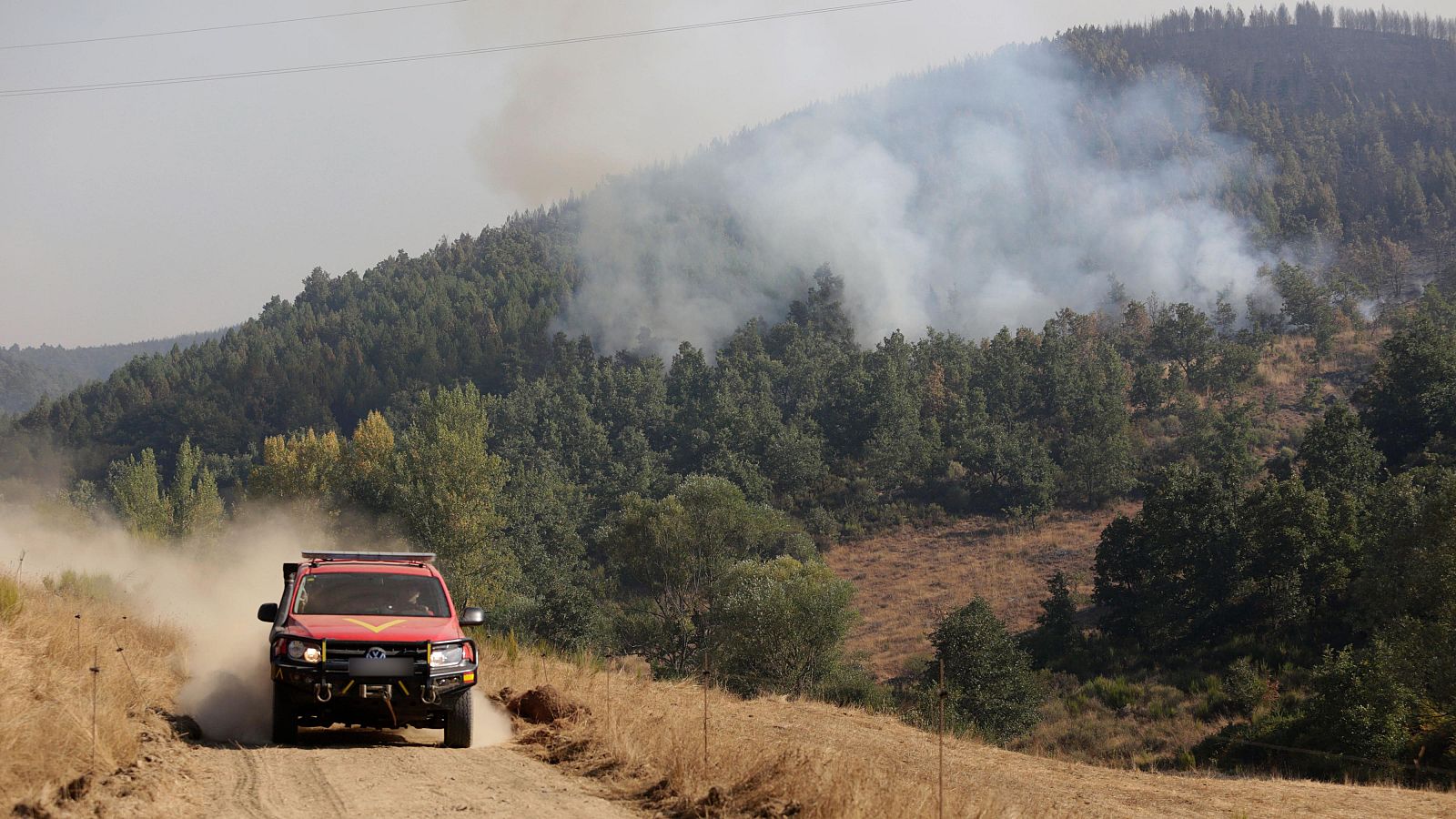 Diario 24 - 25/08/25 - Diario 24 | Ver