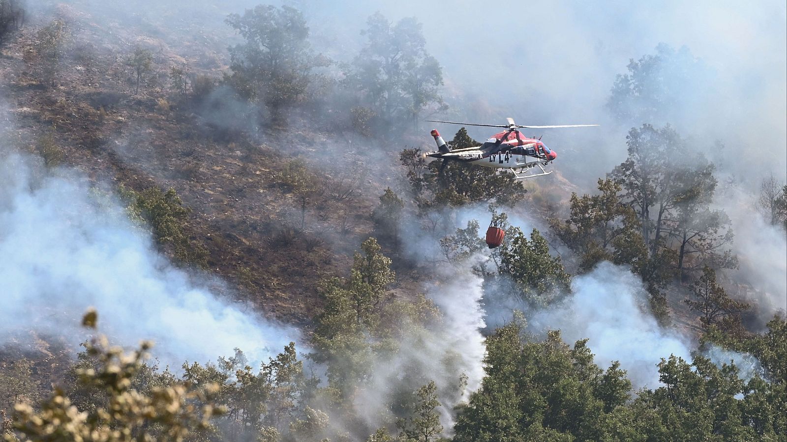 Tercera semana de incendios en León - Telediario 1 | Ver