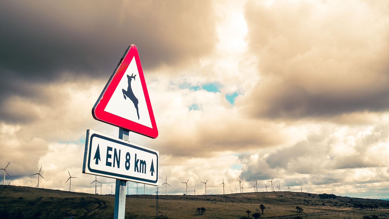 L'Informatiu de la Comunitat Valenciana 2 - 25/08/25 | Ver