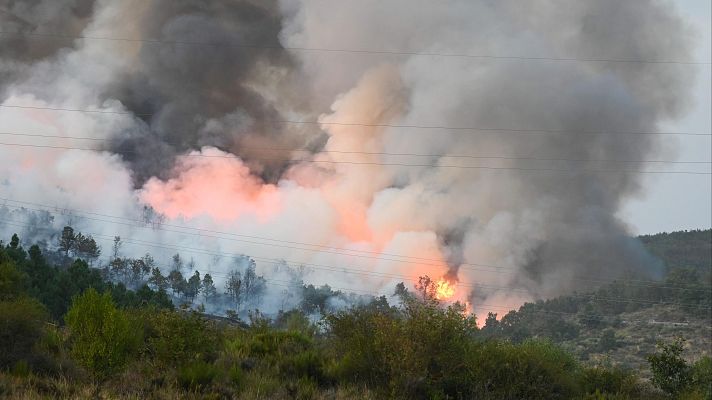 Diario 24 - Diario 24 - 26/08/25