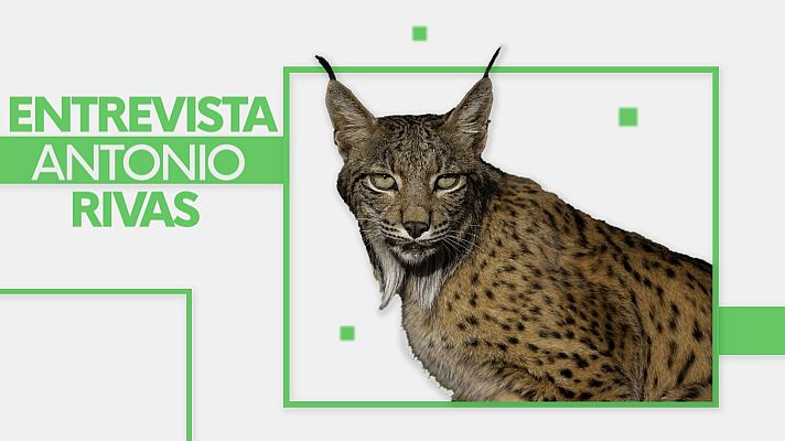 Noticias Andalucía - Entrevista a Antonio Rivas
