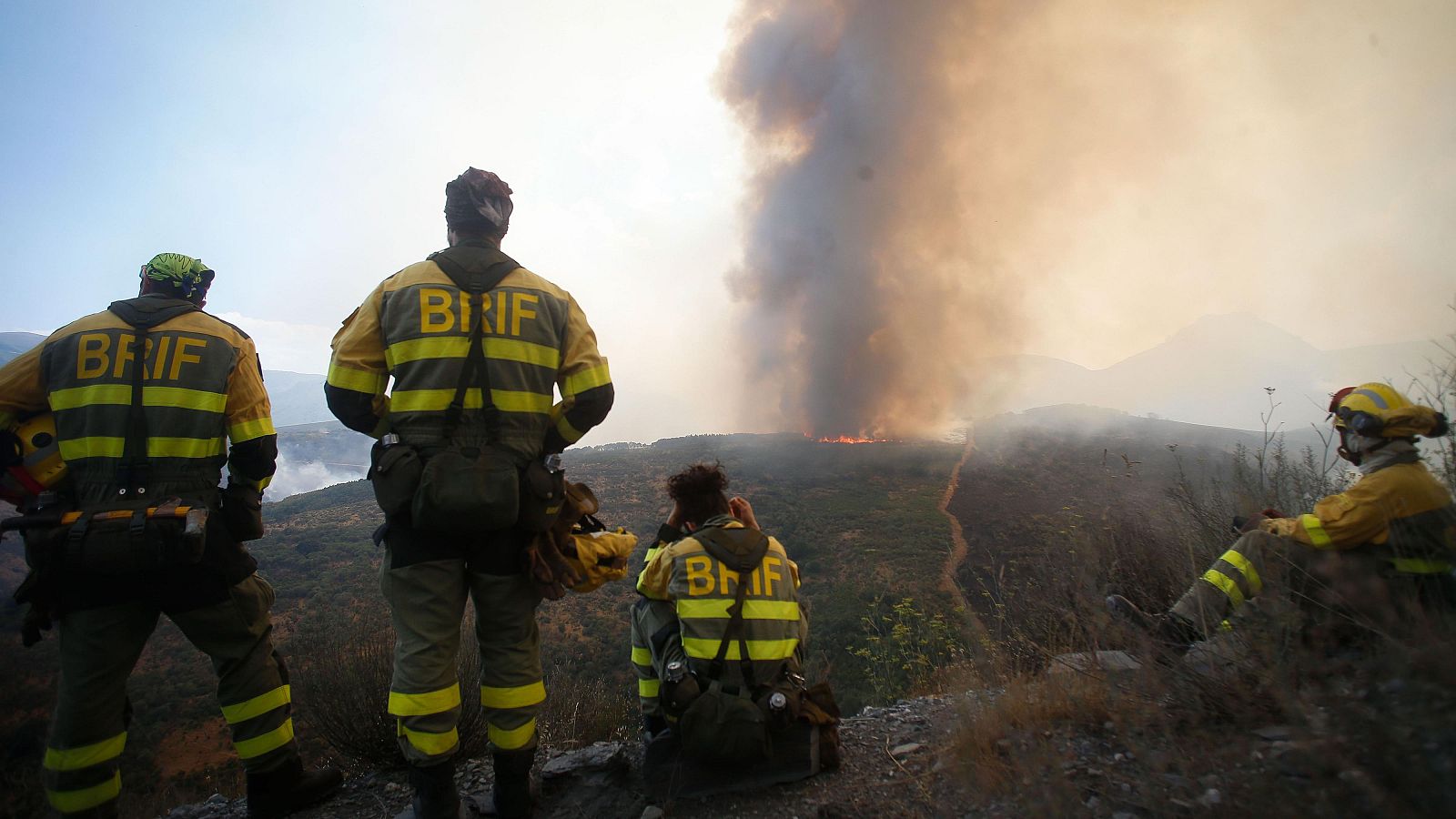 Preocupación por la reactivación de los fuegos en León y Zamora - Telediario 1 | Ver