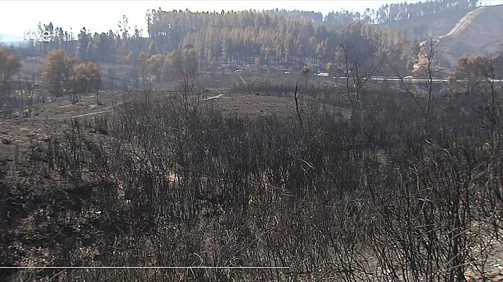 Informativo 24h - Informativo 24 horas - 20h - 26/08/25